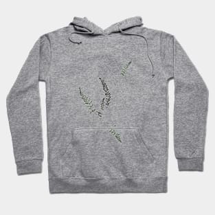 leaf woman Hoodie